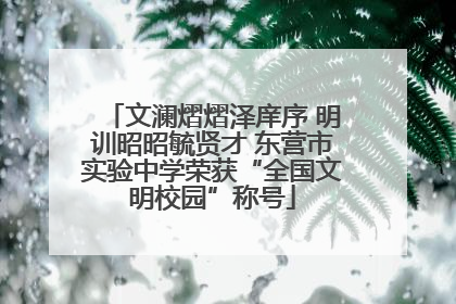 文澜熠熠泽庠序 明训昭昭毓贤才 东营市实验中学荣获“全国文明校园”称号