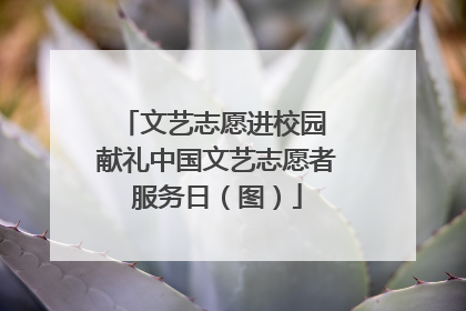 文艺志愿进校园 献礼中国文艺志愿者服务日（图）