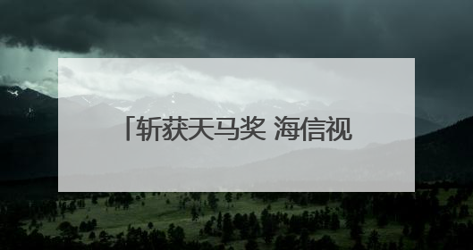 斩获天马奖 海信视像投资者关系管理获资本市场高度认可