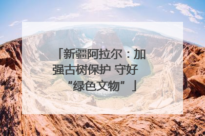 新疆阿拉尔：加强古树保护 守好“绿色文物”