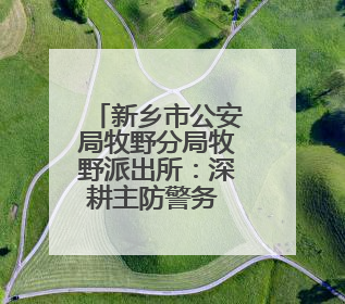 新乡市公安局牧野分局牧野派出所：深耕主防警务 守护辖区平安