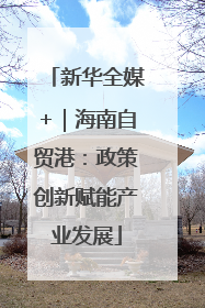 新华全媒+｜海南自贸港：政策创新赋能产业发展
