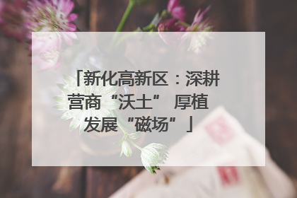 新化高新区：深耕营商“沃土” 厚植发展“磁场”
