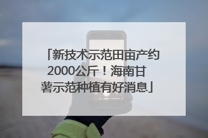 新技术示范田亩产约2000公斤！海南甘薯示范种植有好消息