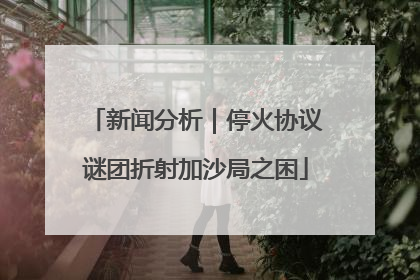 新闻分析｜停火协议谜团折射加沙局之困