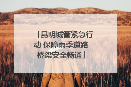 昆明城管紧急行动 保障雨季道路桥梁安全畅通