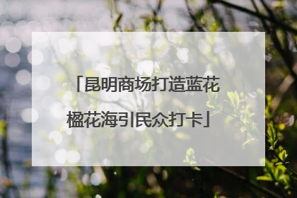 昆明商场打造蓝花楹花海引民众打卡