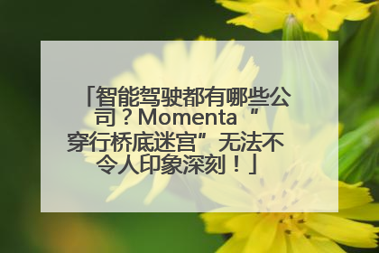 智能驾驶都有哪些公司？Momenta“穿行桥底迷宫”无法不令人印象深刻！