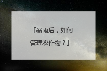 暴雨后，如何管理农作物？