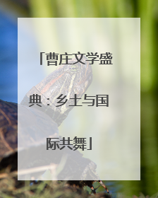 曹庄文学盛典：乡土与国际共舞