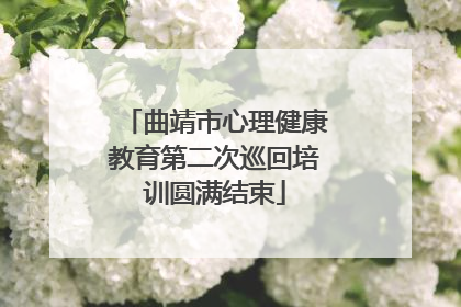 曲靖市心理健康教育第二次巡回培训圆满结束