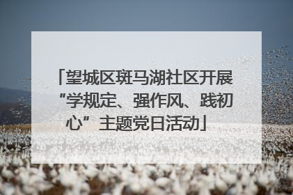望城区斑马湖社区开展“学规定、强作风、践初心”主题党日活动