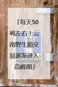 每天50吨左右！云南野生菌交易逐渐进入高峰期