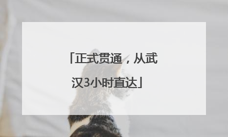 正式贯通，从武汉3小时直达