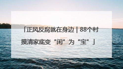 正风反腐就在身边｜88个村摸清家底变“闲”为“宝”
