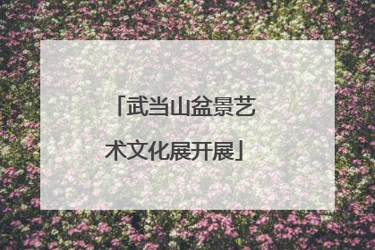 武当山盆景艺术文化展开展