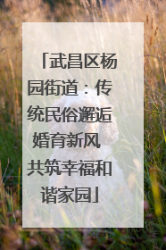 武昌区杨园街道：传统民俗邂逅婚育新风 共筑幸福和谐家园