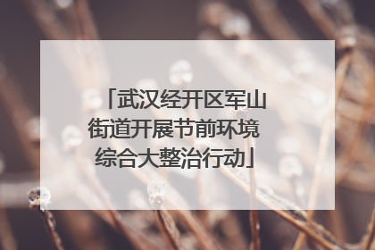 武汉经开区军山街道开展节前环境综合大整治行动