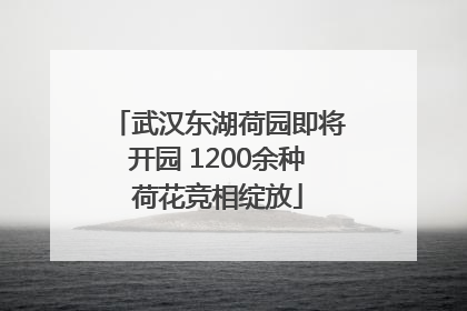 武汉东湖荷园即将开园 1200余种荷花竞相绽放