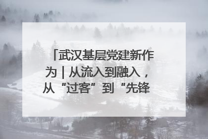 武汉基层党建新作为｜从流入到融入，从“过客”到“先锋” 武汉为流动党员筑起温暖之家