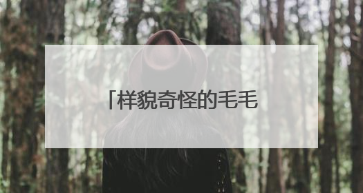 样貌奇怪的毛毛虫现身厦门公园步道，它们是啥？专业人士提醒→