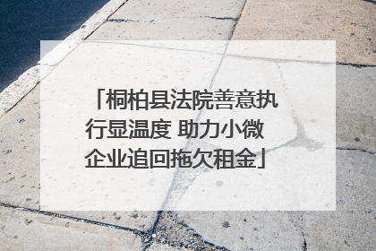 桐柏县法院善意执行显温度 助力小微企业追回拖欠租金