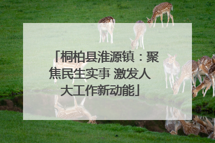 桐柏县淮源镇：聚焦民生实事 激发人大工作新动能