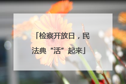 检察开放日，民法典“活”起来