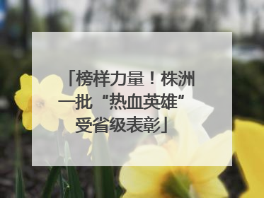 榜样力量！株洲一批“热血英雄”受省级表彰