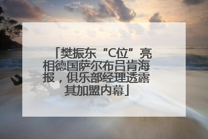 樊振东“C位”亮相德国萨尔布吕肯海报，俱乐部经理透露其加盟内幕