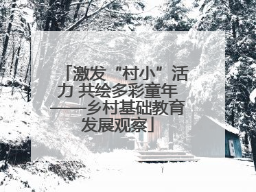 激发“村小”活力 共绘多彩童年——乡村基础教育发展观察