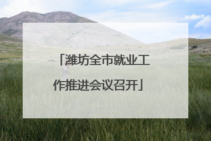 潍坊全市就业工作推进会议召开