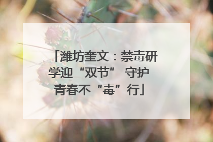 潍坊奎文：禁毒研学迎“双节” 守护青春不“毒”行
