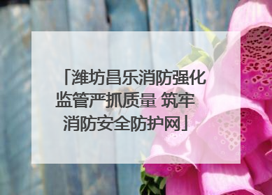 潍坊昌乐消防强化监管严抓质量 筑牢消防安全防护网
