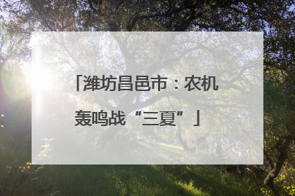 潍坊昌邑市：农机轰鸣战“三夏”
