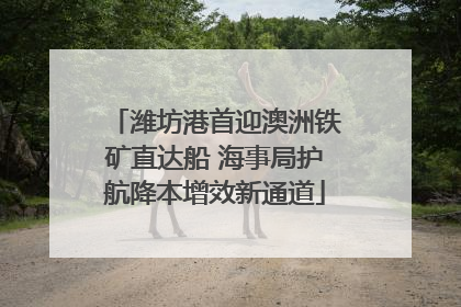 潍坊港首迎澳洲铁矿直达船 海事局护航降本增效新通道