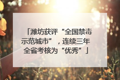 潍坊获评“全国禁毒示范城市”，连续三年全省考核为“优秀”