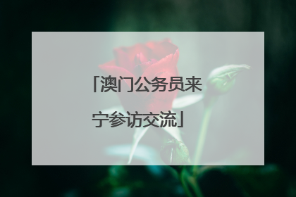 澳门公务员来宁参访交流