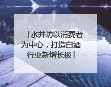 水井坊以消费者为中心，打造白酒行业新增长极
