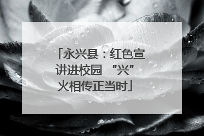 永兴县：红色宣讲进校园 “兴”火相传正当时