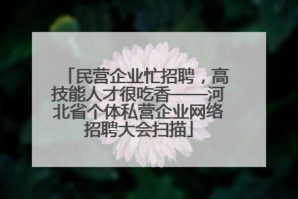 民营企业忙招聘，高技能人才很吃香——河北省个体私营企业网络招聘大会扫描
