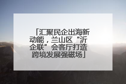 汇聚民企出海新动能，兰山区“沂企联”会客厅打造跨境发展强磁场
