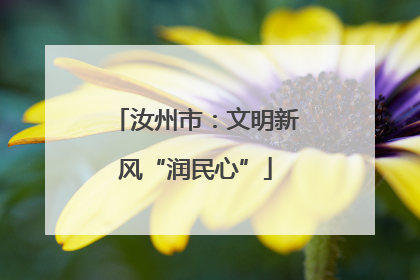 汝州市：文明新风“润民心”