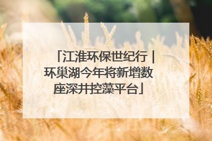 江淮环保世纪行｜环巢湖今年将新增数座深井控藻平台