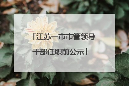 江苏一市市管领导干部任职前公示