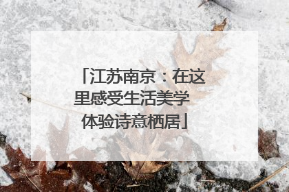 江苏南京：在这里感受生活美学 体验诗意栖居