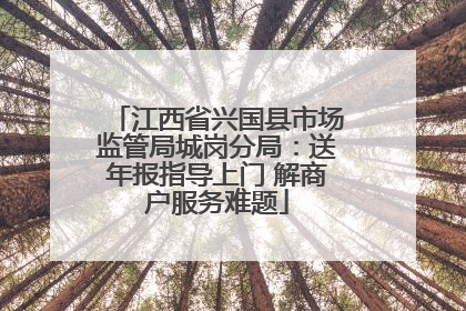 江西省兴国县市场监管局城岗分局：送年报指导上门 解商户服务难题