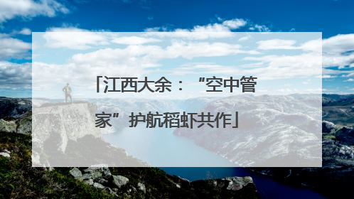 江西大余：“空中管家”护航稻虾共作