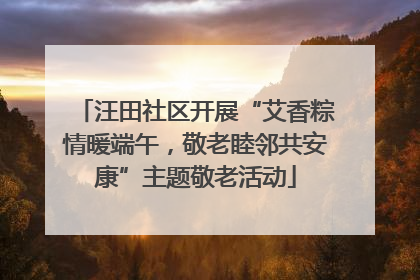 汪田社区开展“艾香粽情暖端午，敬老睦邻共安康”主题敬老活动