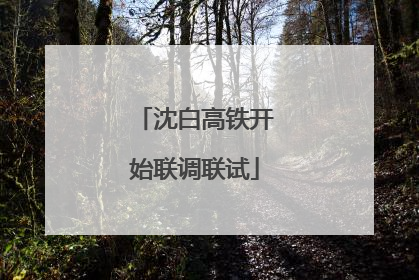 沈白高铁开始联调联试